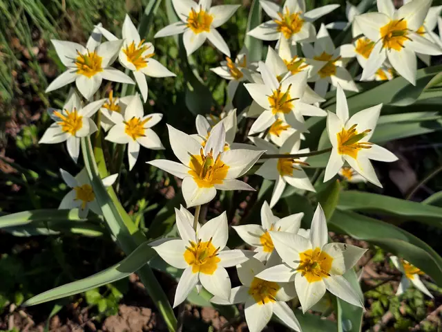 Foto: Heidrun Rosenberger