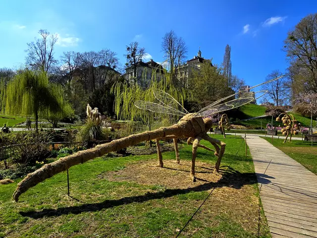 Foto: Heidrun Rosenberger