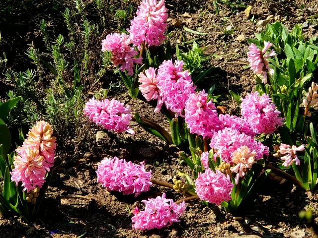 Foto: Heidrun Rosenberger