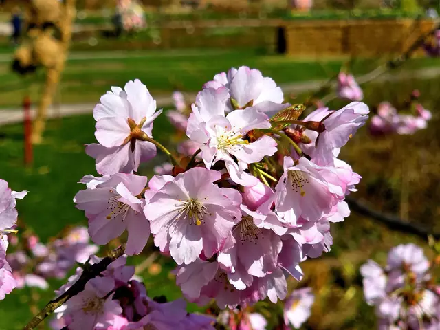 Foto: Heidrun Rosenberger