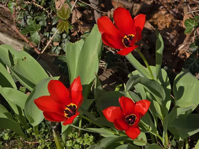 Foto: Heidrun Rosenberger