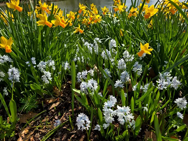 Foto: Heidrun Rosenberger