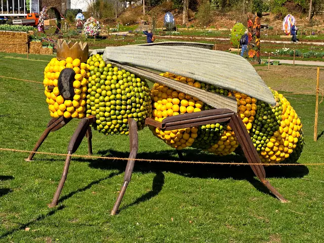 Foto: Heidrun Rosenberger