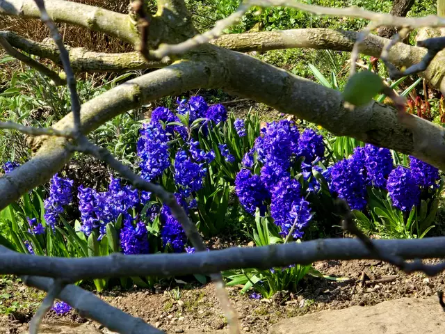 Foto: Heidrun Rosenberger