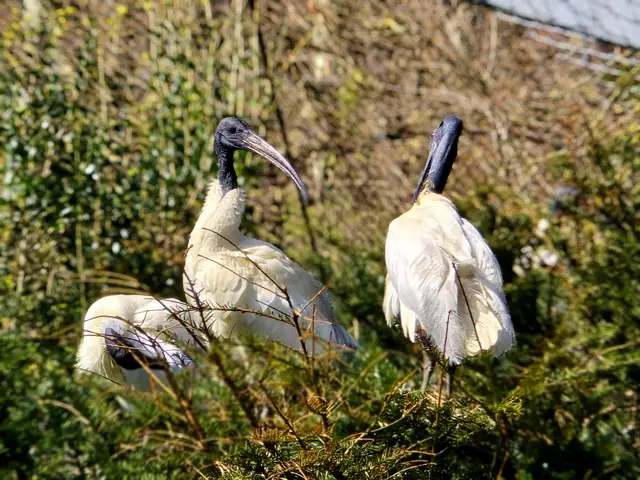 Foto: Heidrun Rosenberger
