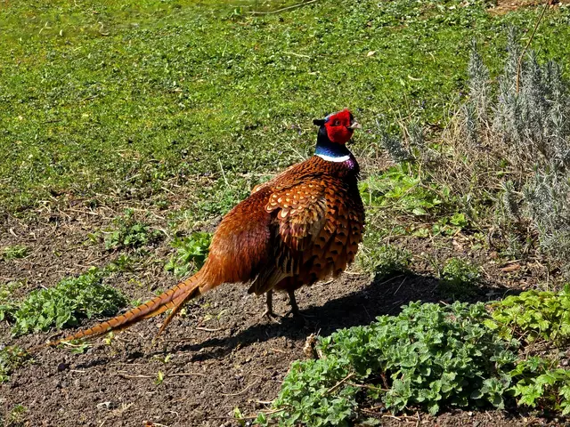 Foto: Heidrun Rosenberger