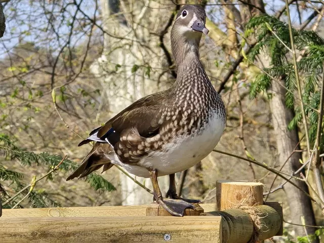 Foto: Heidrun Rosenberger