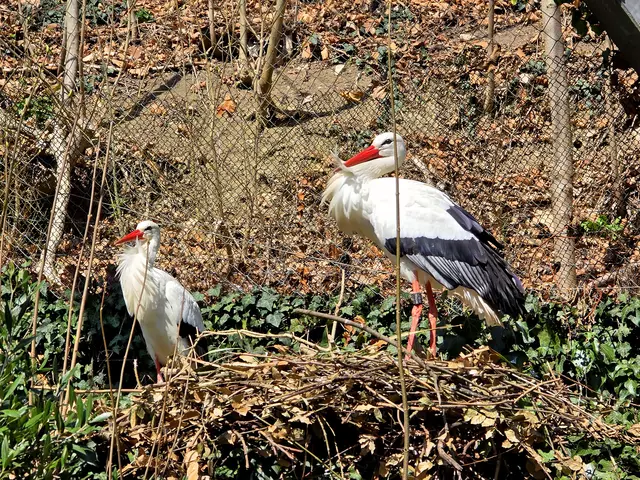 Foto: Heidrun Rosenberger