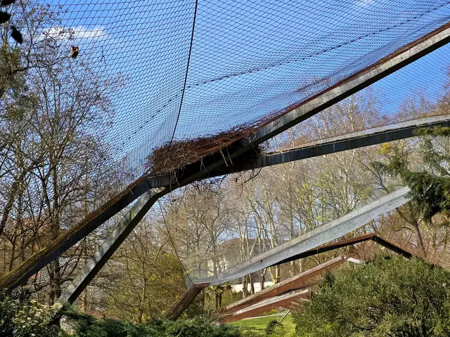 Foto: Heidrun Rosenberger