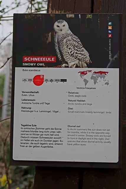 Foto: Eduard Warenik