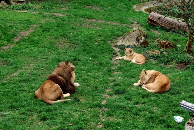 Foto: Eduard Warenik