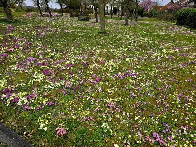 dann eher hellere Farben.  | Foto: Heidrun Rosenberger