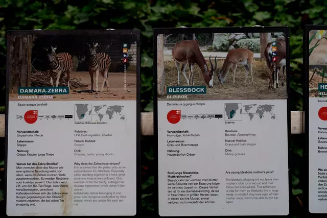 Foto: Eduard Warenik