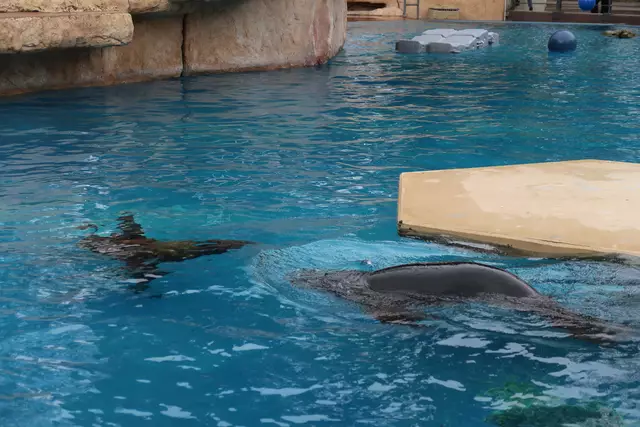 Foto: Eduard Warenik