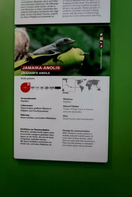 Foto: Eduard Warenik