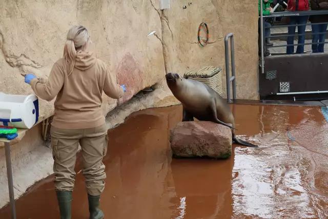 Foto: Eduard Warenik