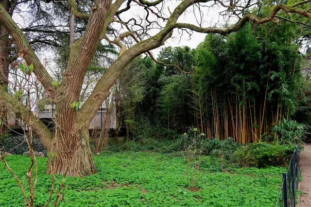 Foto: Eduard Warenik