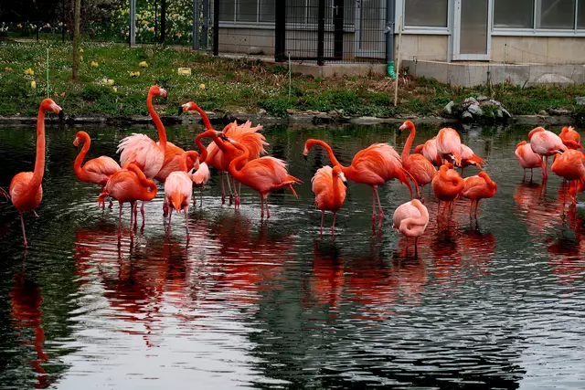 Foto: Eduard Warenik