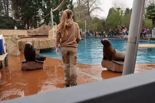 Foto: Eduard Warenik