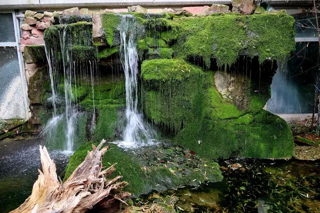 Foto: Eduard Warenik