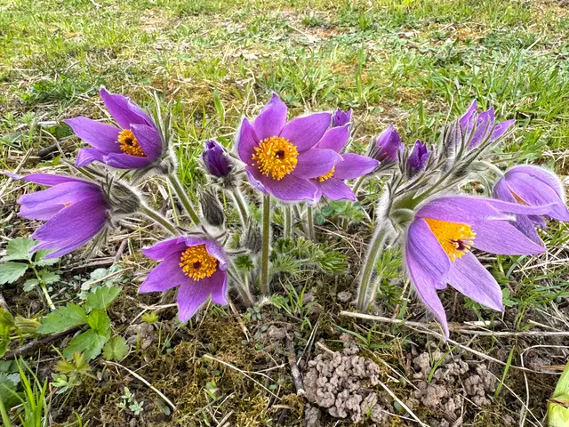 Foto: Heide Böllinger aus Bad Friedrichshall