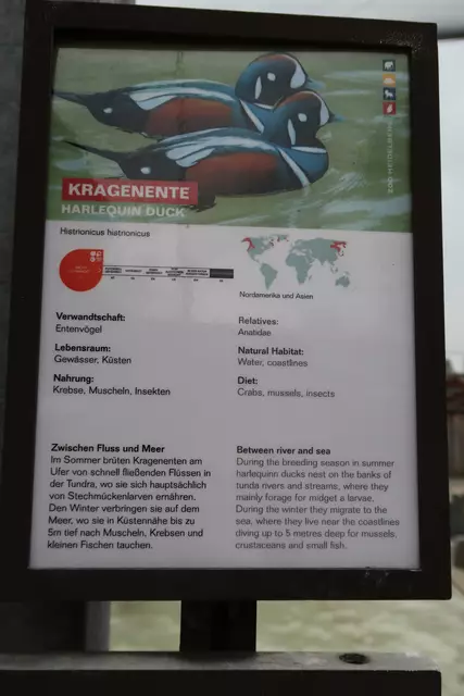 Foto: Eduard Warenik