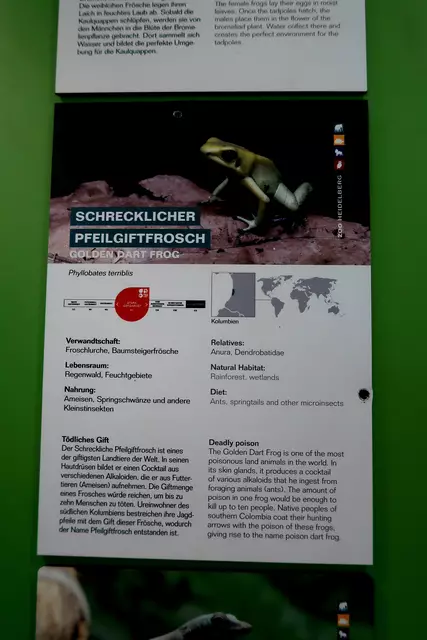 Foto: Eduard Warenik