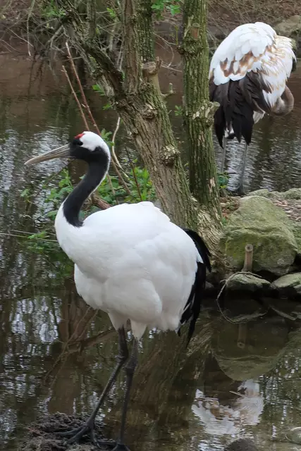 Foto: Eduard Warenik