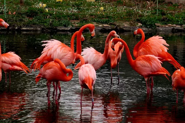 Foto: Eduard Warenik