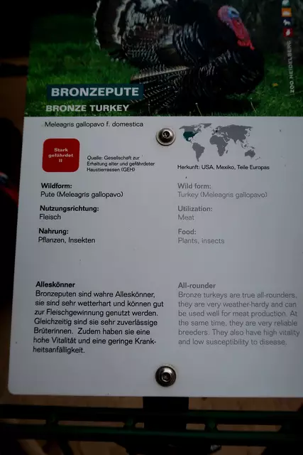 Foto: Eduard Warenik