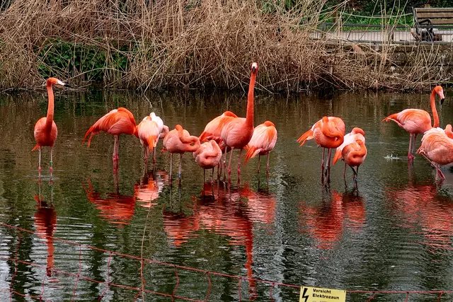 Foto: Eduard Warenik