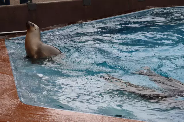 Foto: Eduard Warenik