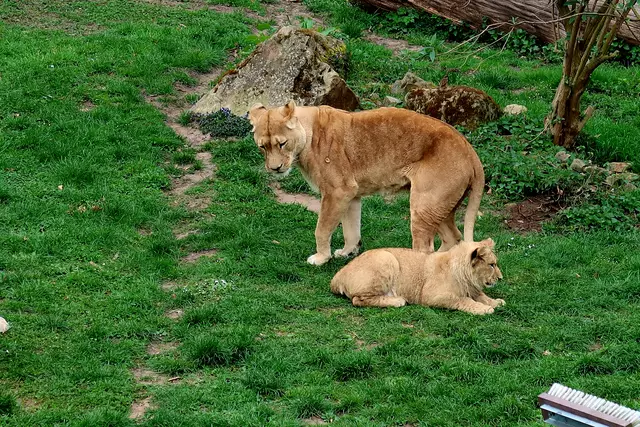 Foto: Eduard Warenik