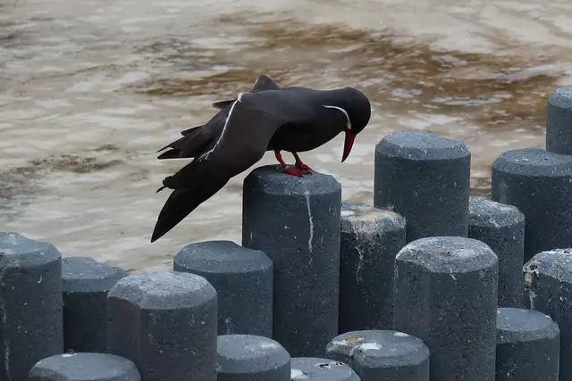 Foto: Eduard Warenik