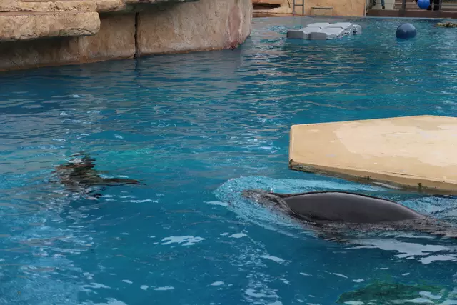 Foto: Eduard Warenik