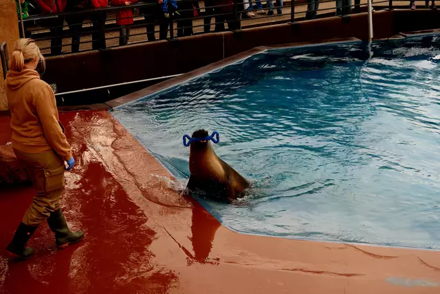 Foto: Eduard Warenik