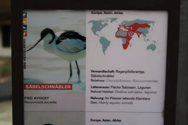 Foto: Eduard Warenik