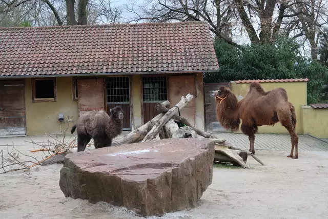 Foto: Eduard Warenik