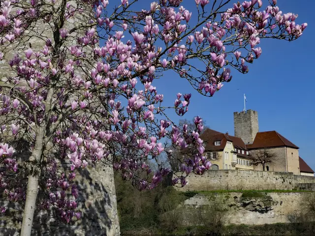 Das Rathaus im Hintergrund | Foto: KHW