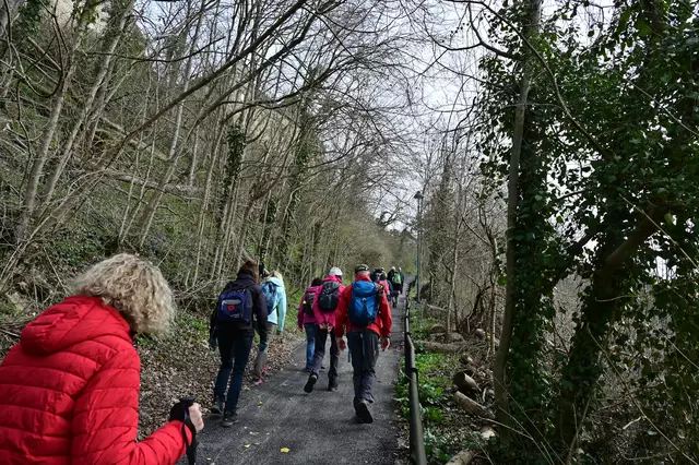 Zum Schloß Hornberg geht es steil nach oben. | Foto: Michael Harmsen