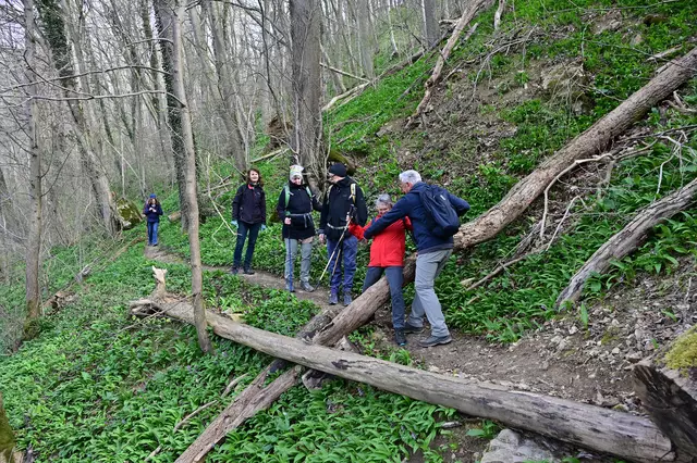 So manches Hindernis wurde gemeinsam bewältigt. | Foto: Michael Harmsen