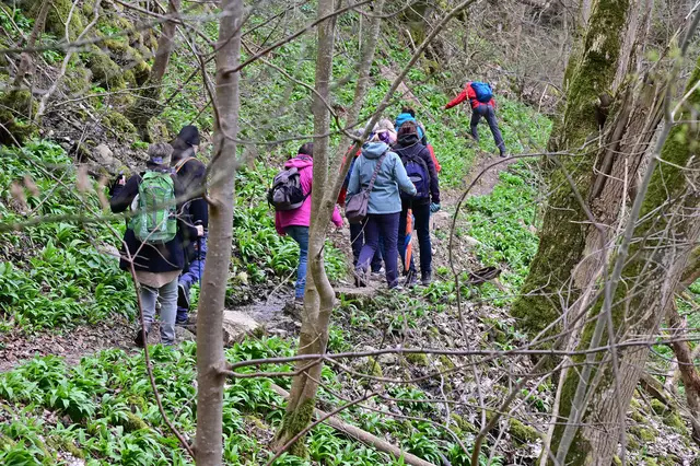 Was für ein herrlicher Waldweg. | Foto: Michael Harmsen