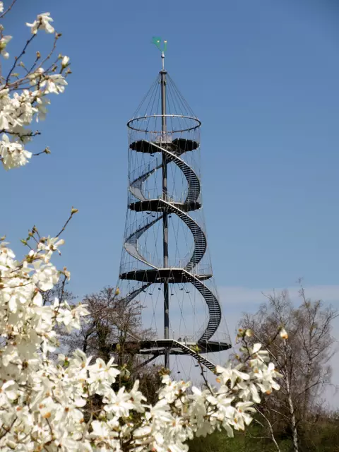 Killesbergturm durch Magnolien von vorne | Foto: WandernGabyErich