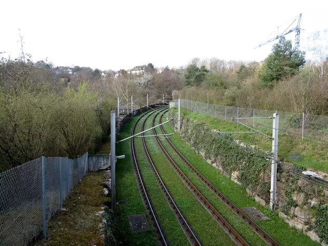 Das grüne Gleisbett der Gäubahn | Foto: WandernGabyErich