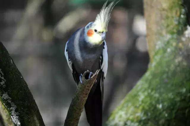 Einfach hübsch. | Foto: Daniela Somers