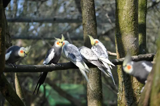 In der Gruppe ist es einfach schöner. | Foto: Daniela Somers