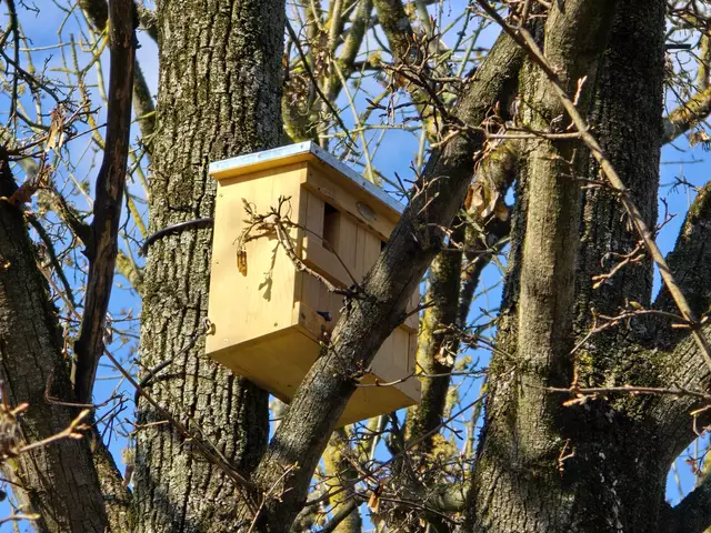 Foto: Heidrun Rosenberger