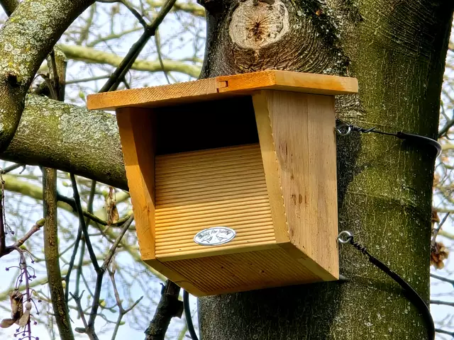 Diese Halbhöhle nutzen Rotschwanz, Hausrotschwanz, Bachstelze, Rotkehlchen, Grauschnäpper und Kleiber.  | Foto: Heidrun Rosenberger