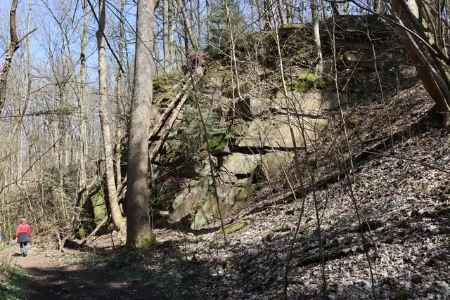 Naturschutzgebiet Schilfsandsteinbruch beim Jägerhaus | Foto: Marga Specht 