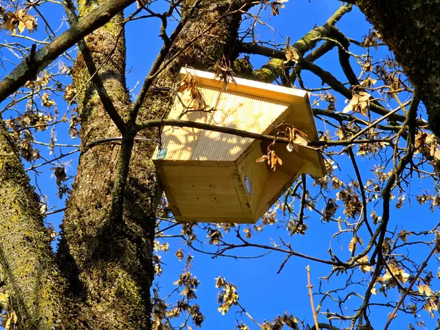 Foto: Heidrun Rosenberger